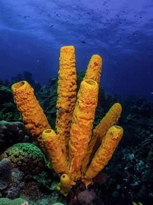  Yellow Tube Sponge: Living Amongst the Coral Reefs Like Colorful Spaghetti!